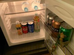 -京都全日空皇冠假日酒店