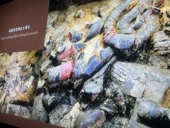 -秦始皇帝陵博物院(兵马俑)