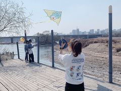 -长白岛森林公园