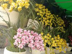 -三圣花乡旅游区