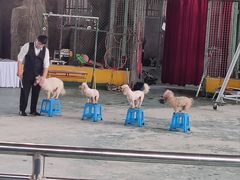 -泉州海丝野生动物世界