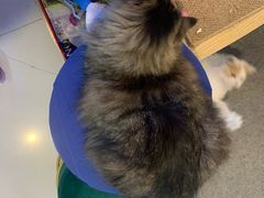 -平行世界·猫咖(首经贸店)
