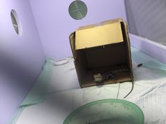 -爱诺耐芙动物医院(万博店)