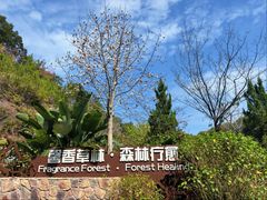 -广州市流溪河国家森林公园