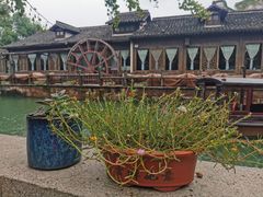 -滋啦啦油煎铺一乌镇萝卜丝饼