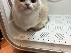 -袖虎·猫馆(体育西路店)