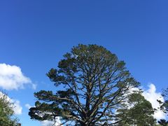 -霍比特人村