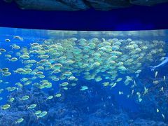 -海合安成都极地海洋公园