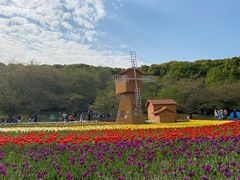-苏州上方山国家森林公园