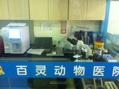 -百灵动物医院