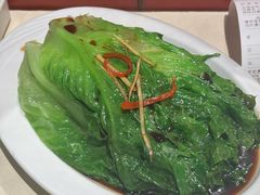 白灼唐生菜-香港池仔记肠粉王(博多新记襄阳南路店)
