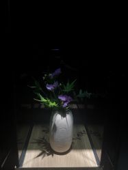 -美壹生诊所皮肤管理中心·海菲秀&Legacy美白舱
