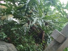 -云溪植物园