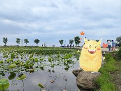 -滆湖低碳生态公园