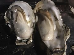原味生蚝-八一湛江生蚝(文明东路总店)