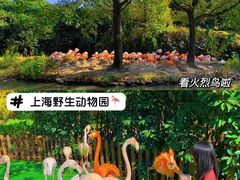 -上海野生动物园