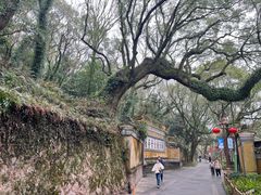 -普陀山风景名胜区-法雨禅寺