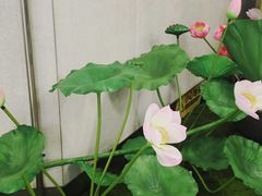 -金茂览秀城