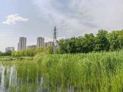 -永定河休闲森林公园