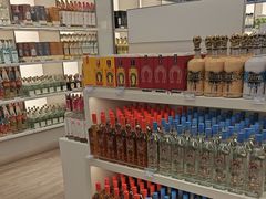 -谢列梅捷沃国际机场