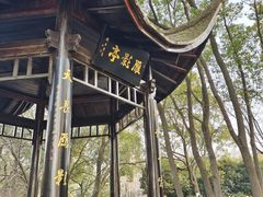-东湖落雁景区