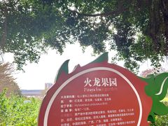 -光明农场大观园