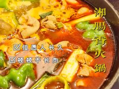 湘味肥肠火锅-湘肠香火锅店(团结湖店)
