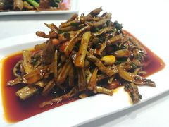 -院8里·少城记忆老川菜(宽窄巷子店)