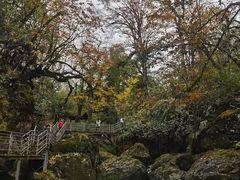 -龙苍沟森林公园
