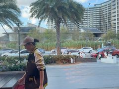 -朱家尖南沙景点