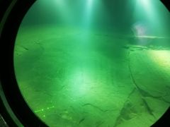 -白鹤梁水下博物馆