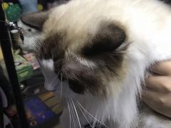 -零纪元VR体验馆·桌游(黄浦店)