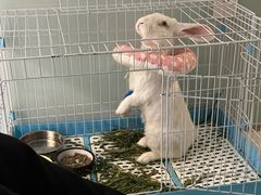 -雨林宠物医院 非犬猫异宠专科