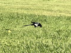 -苏州独墅湖体育馆