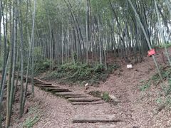 -西湖风景区十里琅珰-五云山