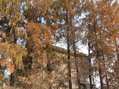 -一尺花园(安和花园店)