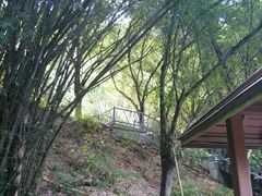 -大雁山风景区