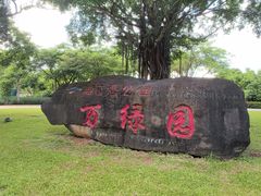 -万绿园