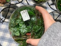 -AEON永旺(东方宝泰店)