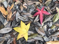 -勇士之星真人CS·团建·拓展(清水河公园店)