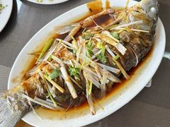-微山岛春天里酒家