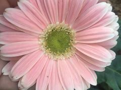 -广东茂名森林公园