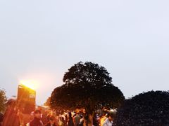 -橘子洲景区