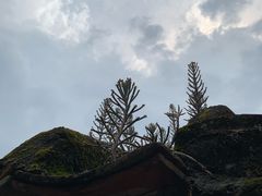 -三溪村