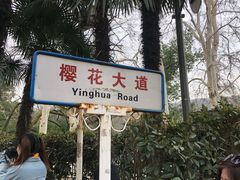 -武汉大学-樱园