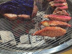 -杨小佳·齐齐哈尔烤肉·烤串(广州店)