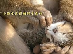 -昆明动物园