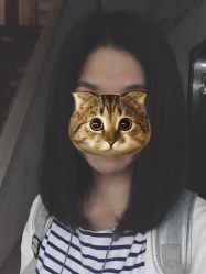 -镁连社·美联社