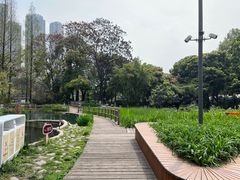 -成都市活水公园