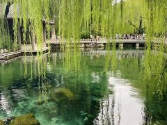 -趵突泉景区
